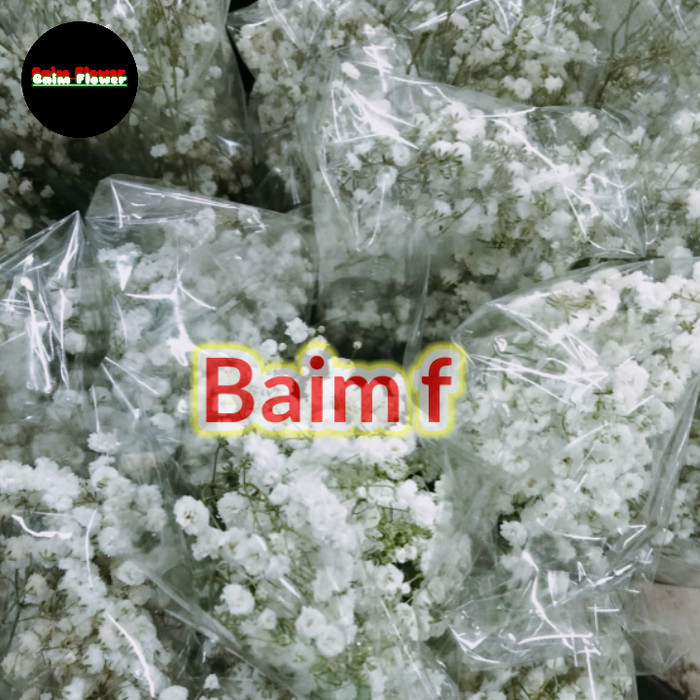 baby breath fresh flowers