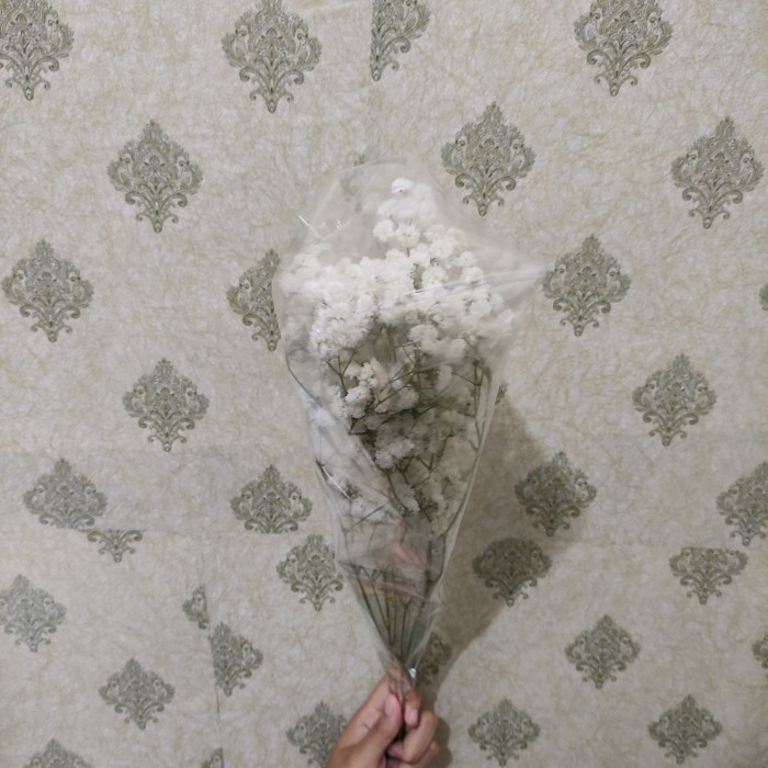 Bunga Baby Breath Fresh