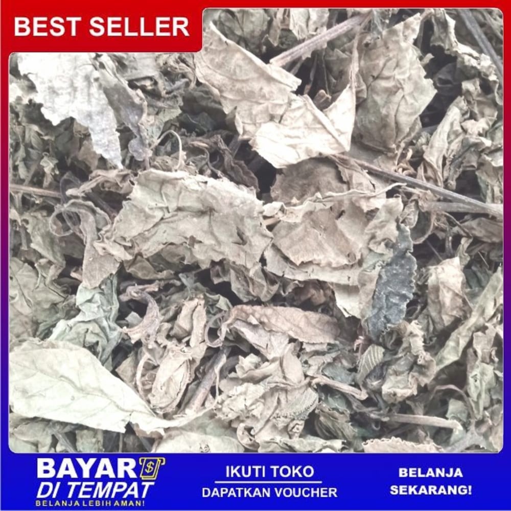 

OMH Terlaris Murah [500g] keji beling atau geji beling premium