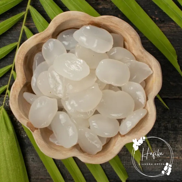 

Buah Aren Atau Kolang Kaling Segar 1kg ( Kualitas terbaik )