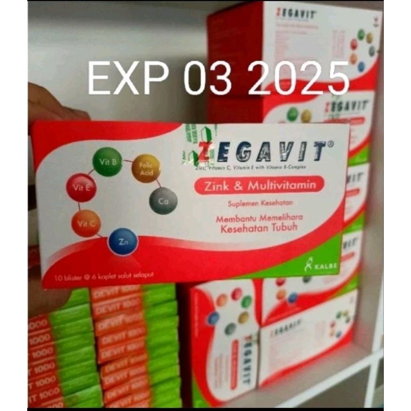 zegavit exp 2025