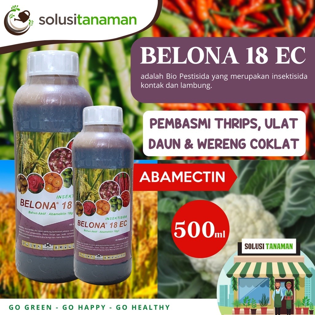 insektisida Obat Hama Belona 250ml Pembasmi Hama Thrips, Kutu Putih, Kutu Daun, Penggerek Batang, Pe