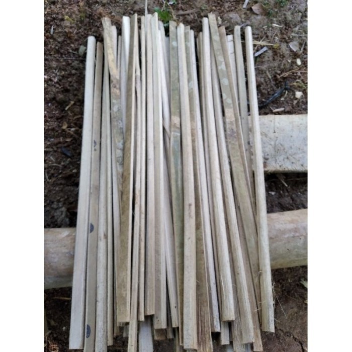 

Promo BAMBU BILAH/BAMBU AJIR/PENYNAGGA TANAMAN UKURAN 50 CM . .
