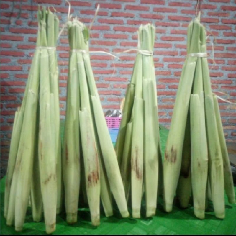 

Stok ready silahkan di order Terubuk sayur segar 10 batang