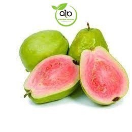 

BUAH JAMBU BIJI MERAH SEGAR 1 KG - BEST Fresh Food