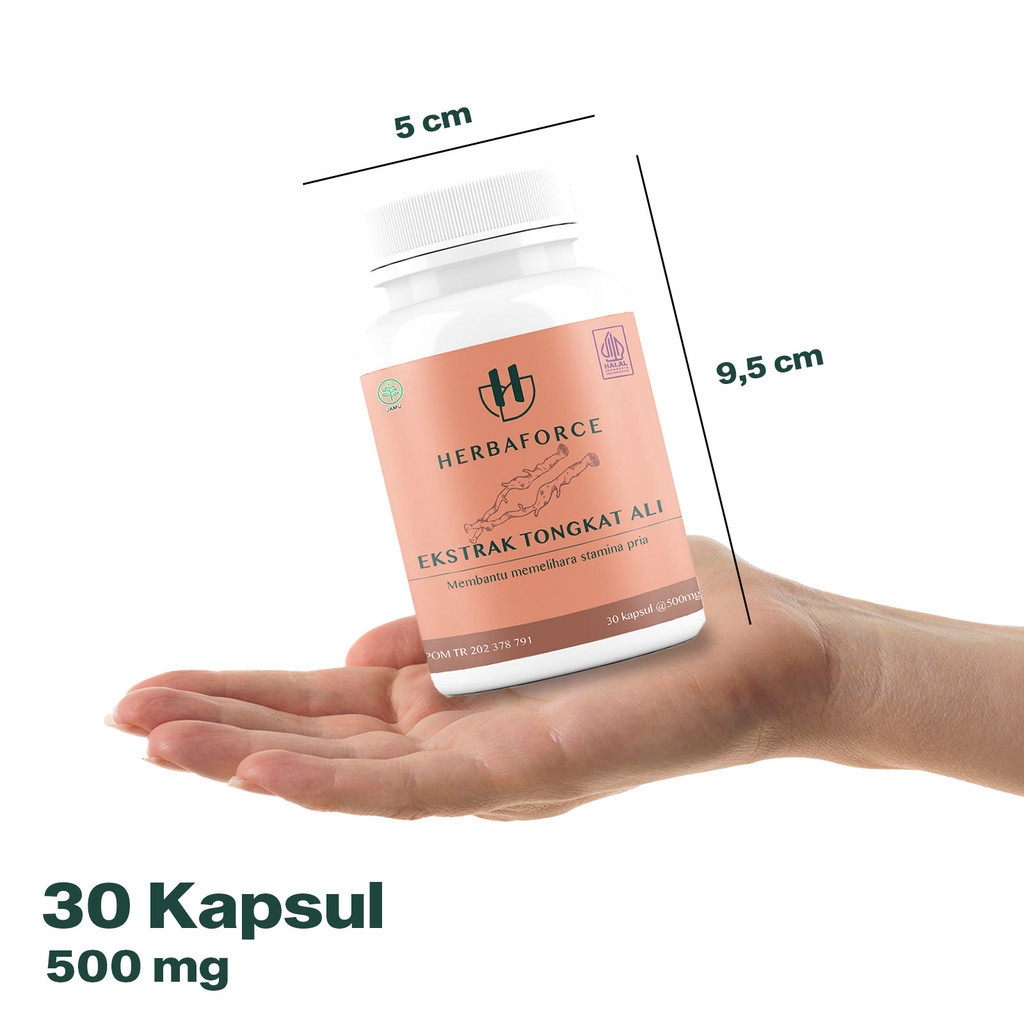 HERBAFORCE Ekstrak Tongkat Ali Obat Suplemen Herbal 30 / 60 Kapsul Memelihara Kesehatan Stamina Pria BPOM HALAL-1