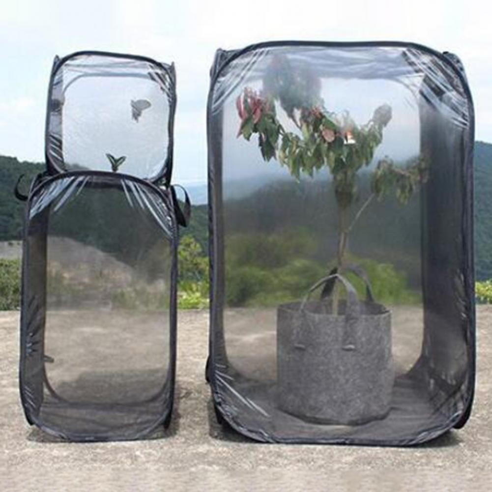 Insect Cage Mesh Habitat Bird Butterfly Net Terrarium Nature Knowledge Insect Habitat Net Insect Mes