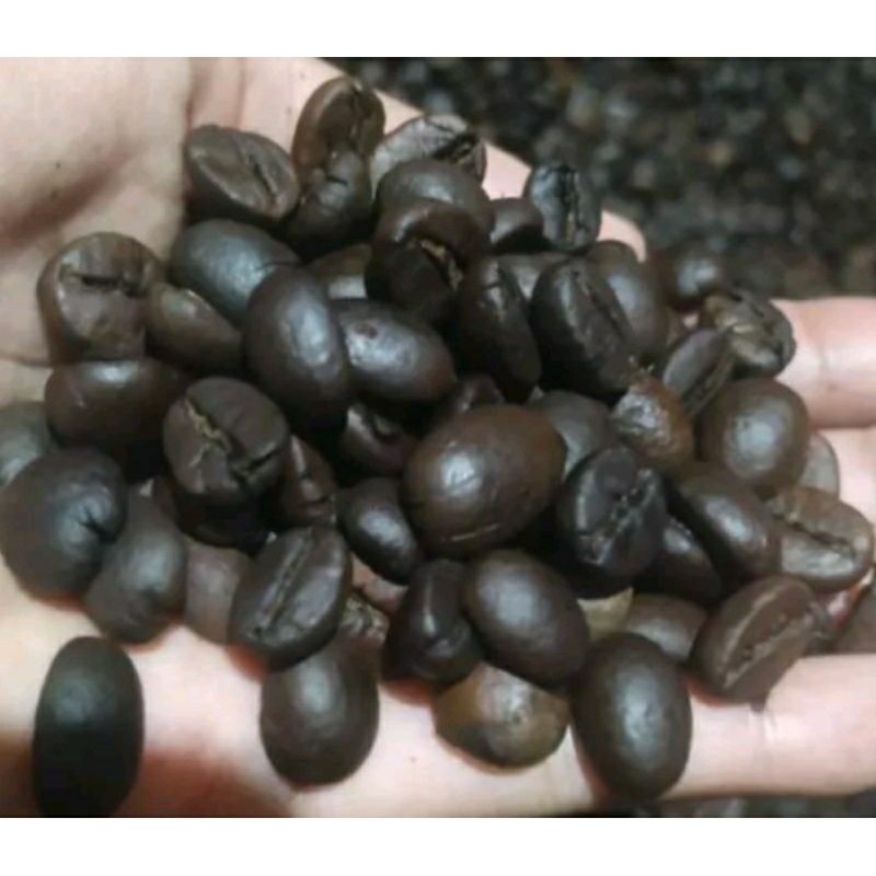 

Biji kopi roasting biji kopi pilihan 1kg