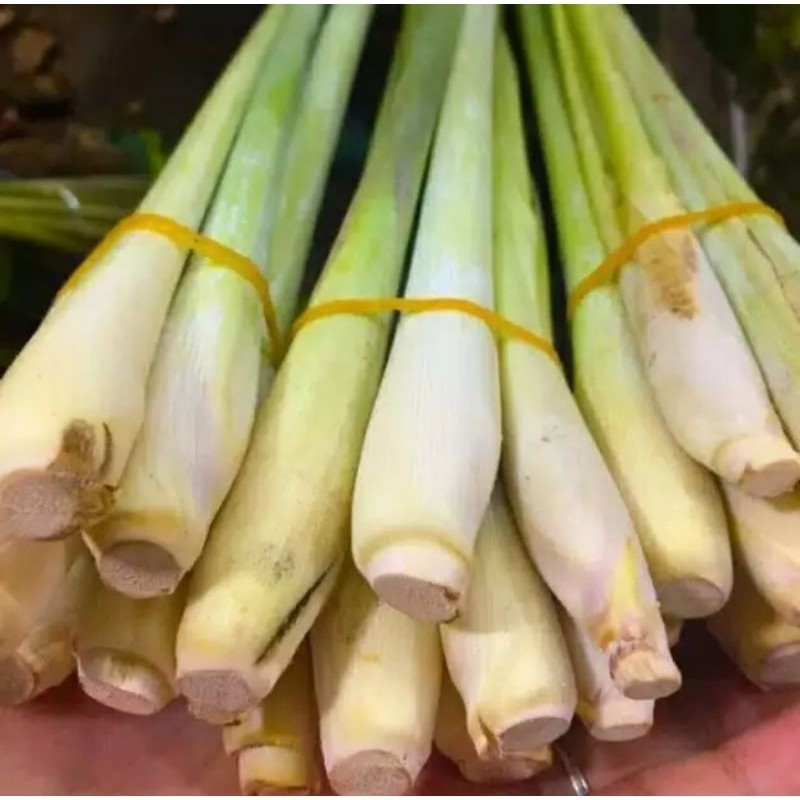 

Sereh sayur | Serai Sayur | Sereh Segar 500grm .