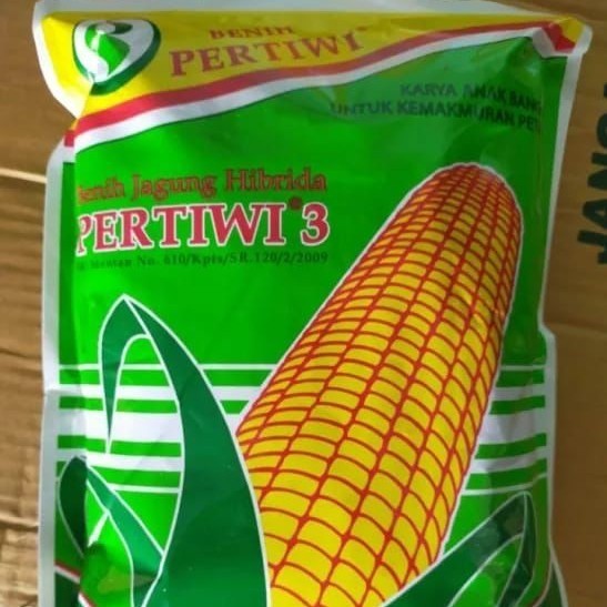 benih jagung pertiwi 3
