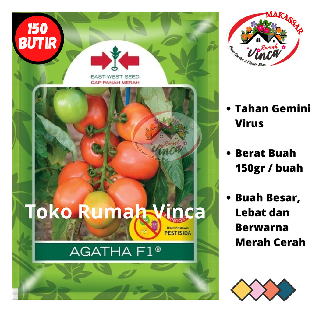 Benih Bibit Tomat Buah Super Besar AGATHA F1 150 Biji Cap Panah Merah Tahan Virus