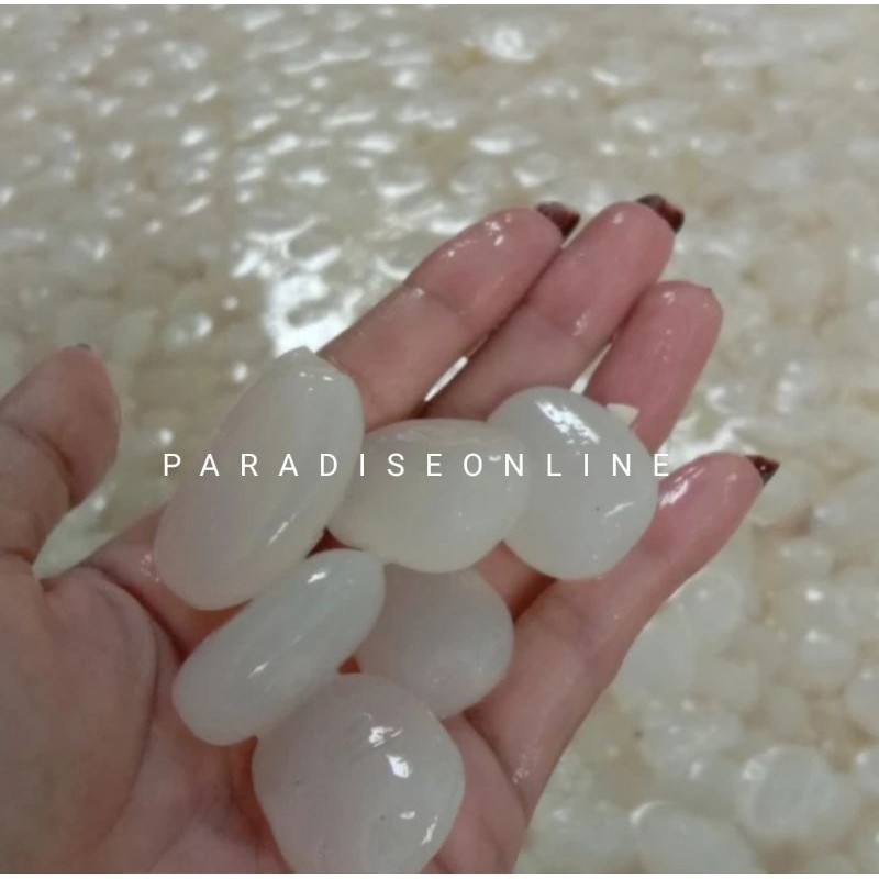

PROMO SEGAR kolang Kaling segar 1kg