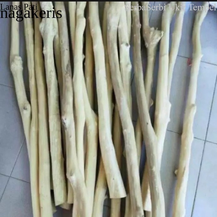 

Termurah RANTING POHON JATI KAYU RANTING DEKORASI PANJANG 100-120CM FXN9 XD7