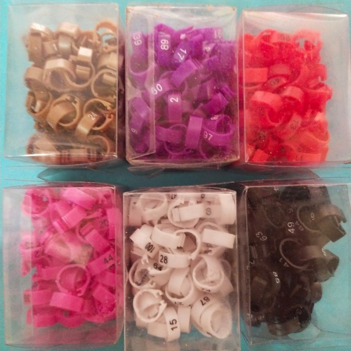 Promo Best Seller~[Aksesoris Hewan] GELANG KAKI RING KAKI KLIP BURUNG DARA POS MERPATI