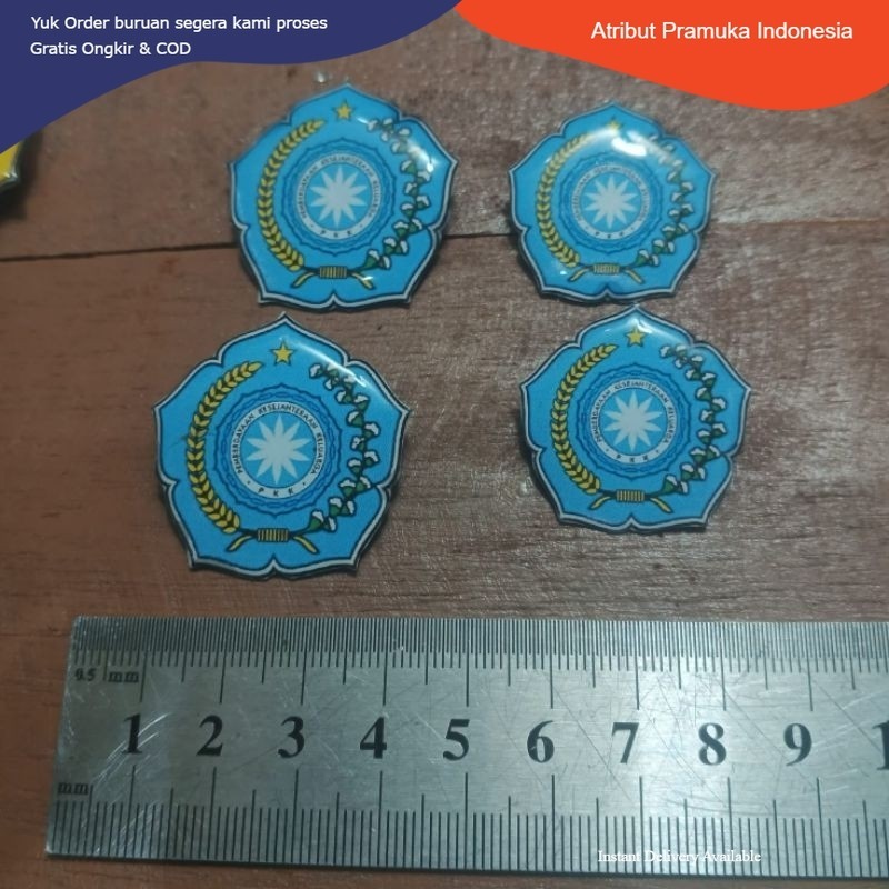 Ready Pin Bros PKK Warna Biru Resin - Pin Aksesoris PKK Termurah Indonesia