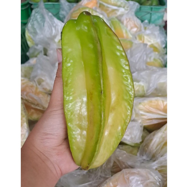 

Blimbing / Belimbing Fresh 500gr - Sayur Segar Instan Malang