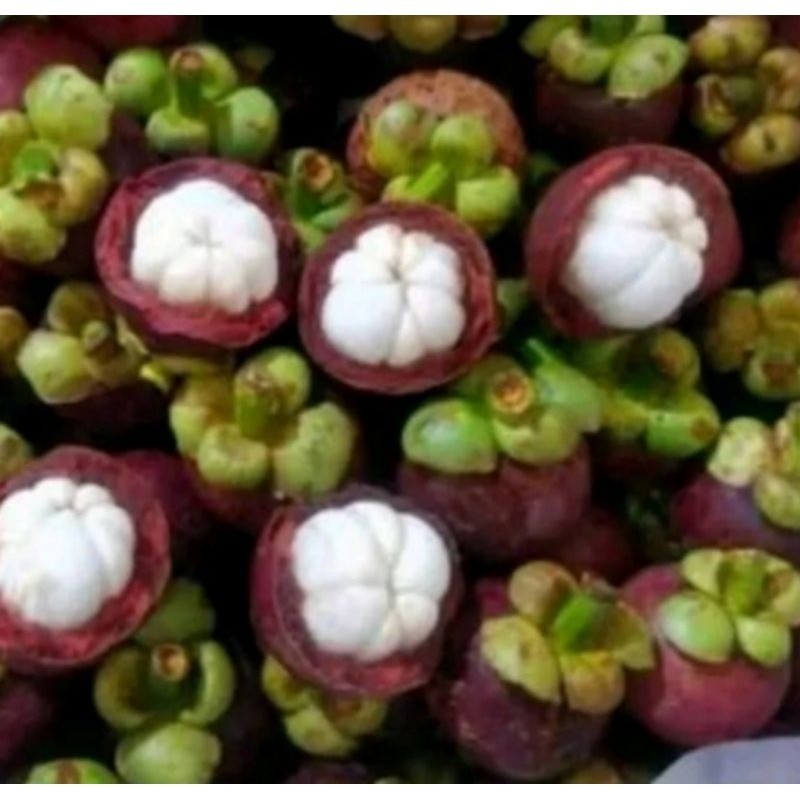 

Queen Market Official Manggis fresh 500gr