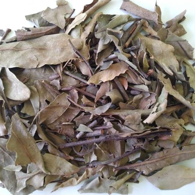 

Benalu Teh 1kg / Herbal Benalu Teh Kering Asli Dan Murni