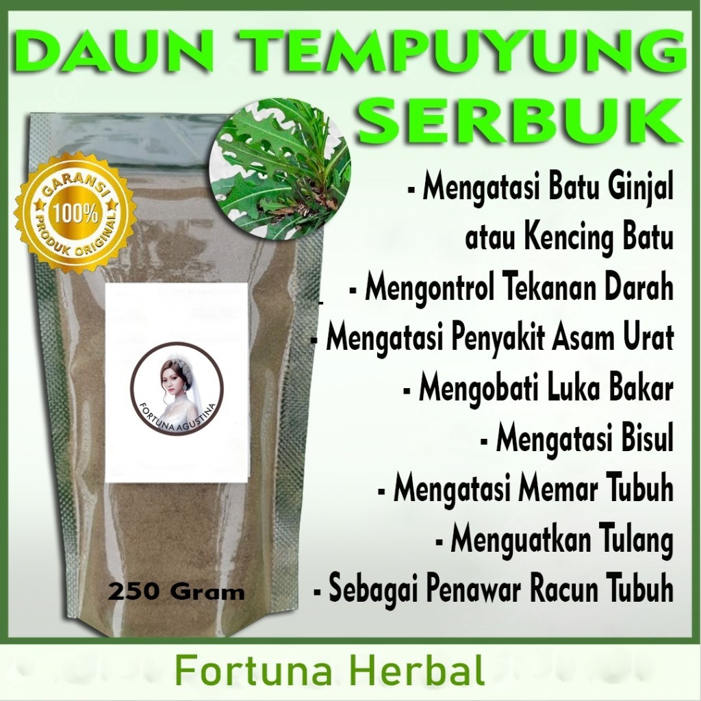 

Daun Tempuyung Serbuk Herbal Menghilangkan Batu Ginjal