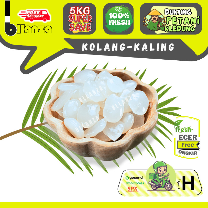 

BIG PROMO Bllanza | Kolang Kaling — Sahabat Makan Sayur Ecer (H)