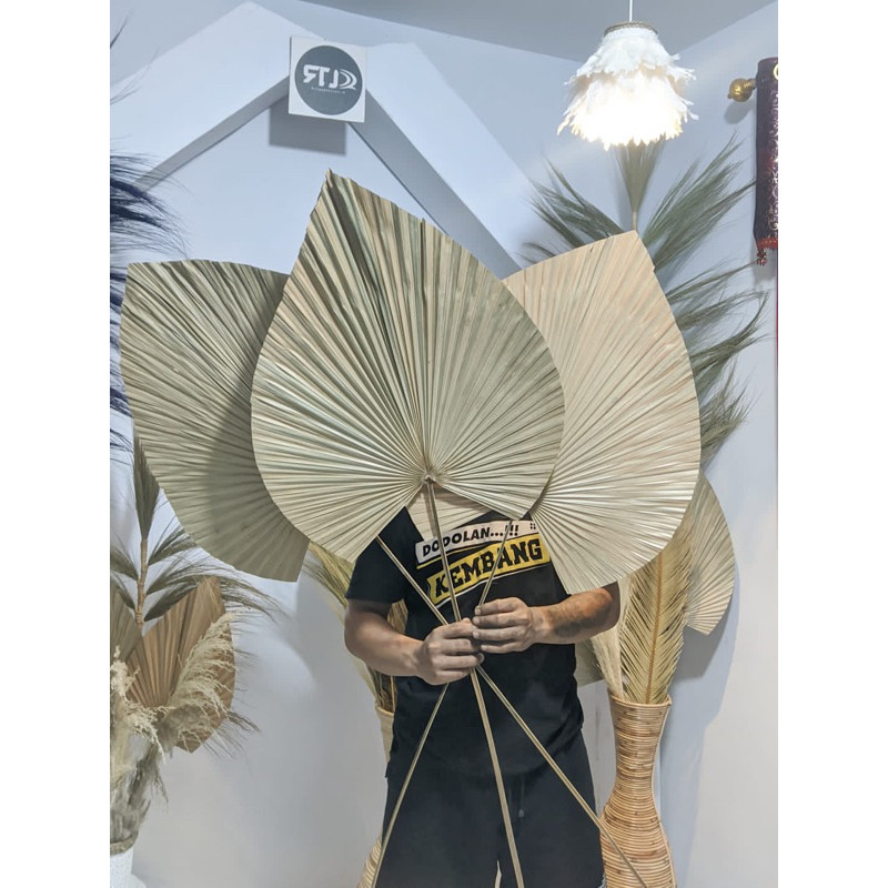 DAUN PALEM/DAUN PALM KERING/Daun Palem kering/Daun kering JUMBO dekorasi/Palem/Dekorasi/Bunga kering
