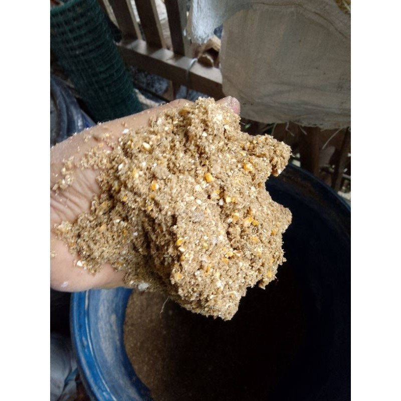 IMDA HANDICRAFT Paket 50 kg Pakan Ternak Ayam Fermentasi SOD JAGUNG BEKATUL Asam Amino Enzim Penggem