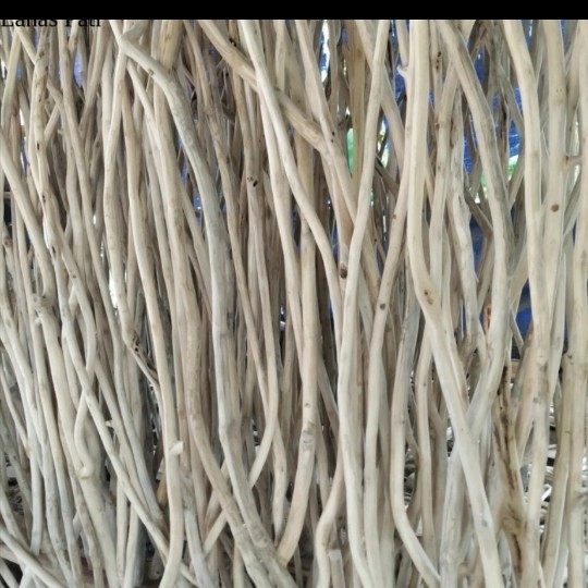 

ranting kayu jati 250 cm - dekorasi ruangan - bahan kerajinan -ranting XD6