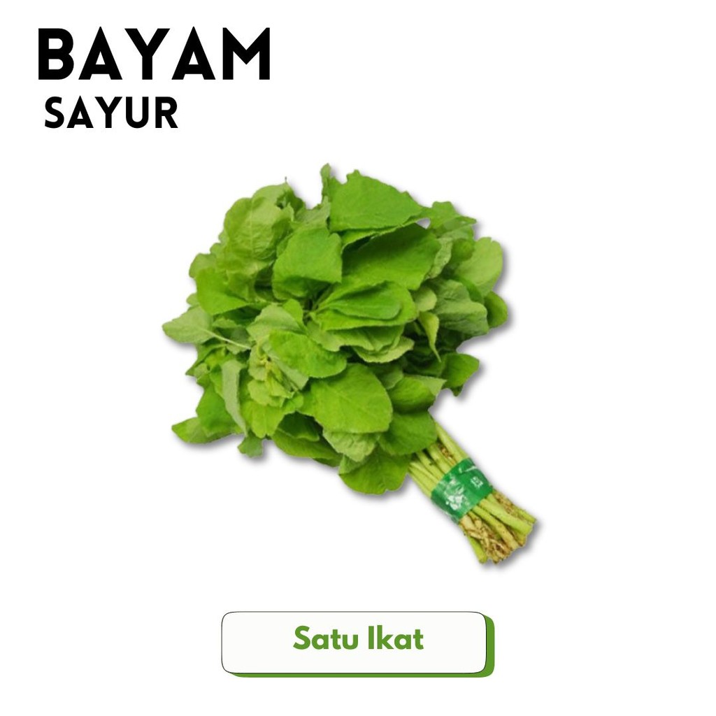 

Fresh Vegetable Store - BAYAM HIJAU / SAYUR BAYAM SEGAR[1 Ikat] FRESH