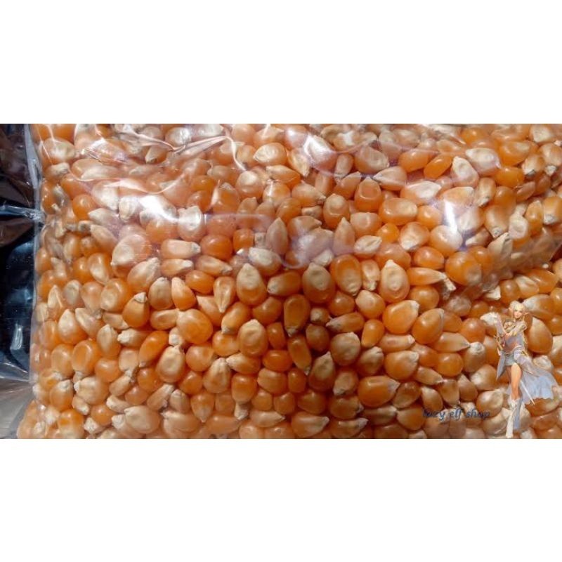 

TERMURAH Jagung Popcorn Mentah per bungkus | Sayur online