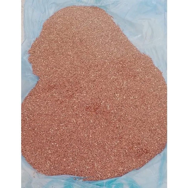 

Beras merah organik 1kg untuk pakan burung dll