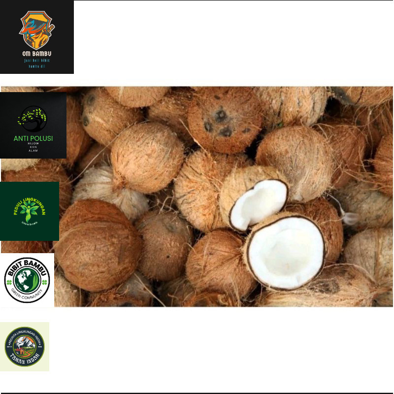 

Buah kelapa masak utuh 1 pcs