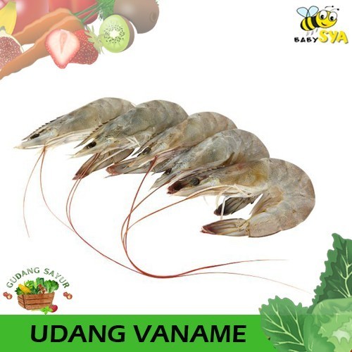 

Udang 500gr Ikan Segar Bekasi Jakarta Timur Utara Selatan Pusat Dibersikan