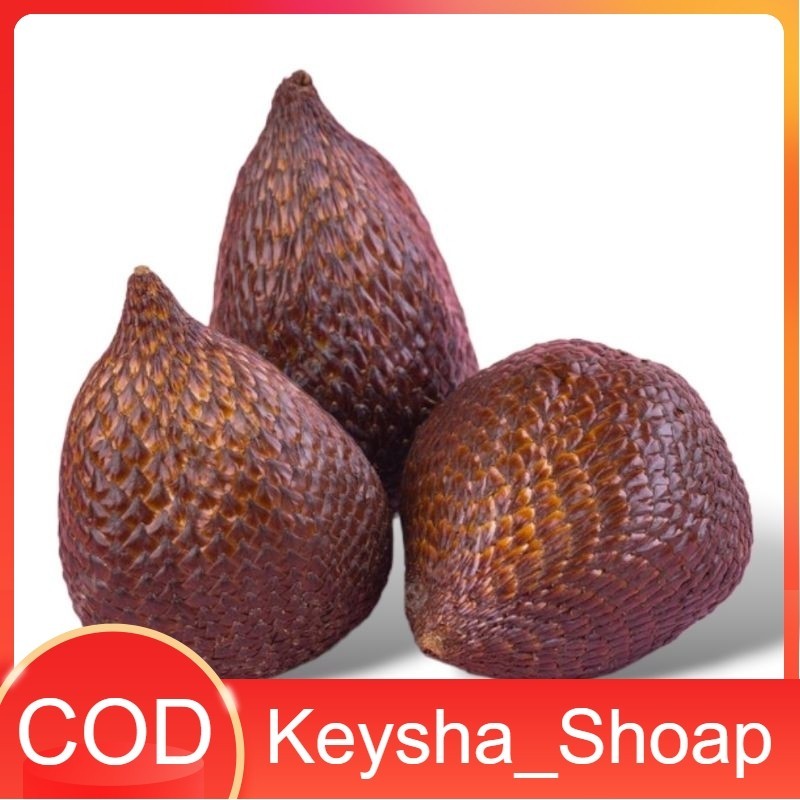 Replika buah salak  /  Mainan anak / Edukasi anak / Dekorasi meja makan / Display Restaurant Hotel D