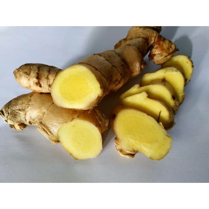 

kunyit putih 1 kg / Kunyit putih segar Kualitas Terbaik