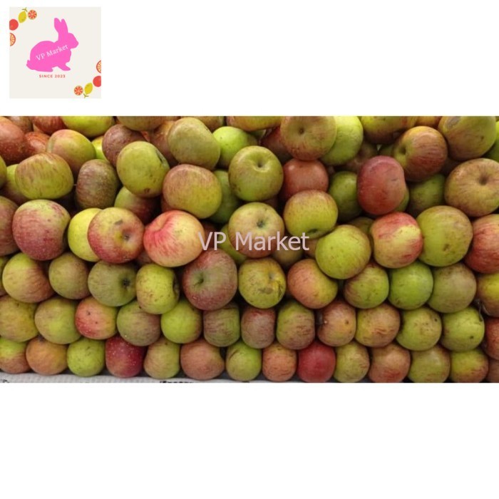 

Buah Apel Malang Fresh Garing 1 kg