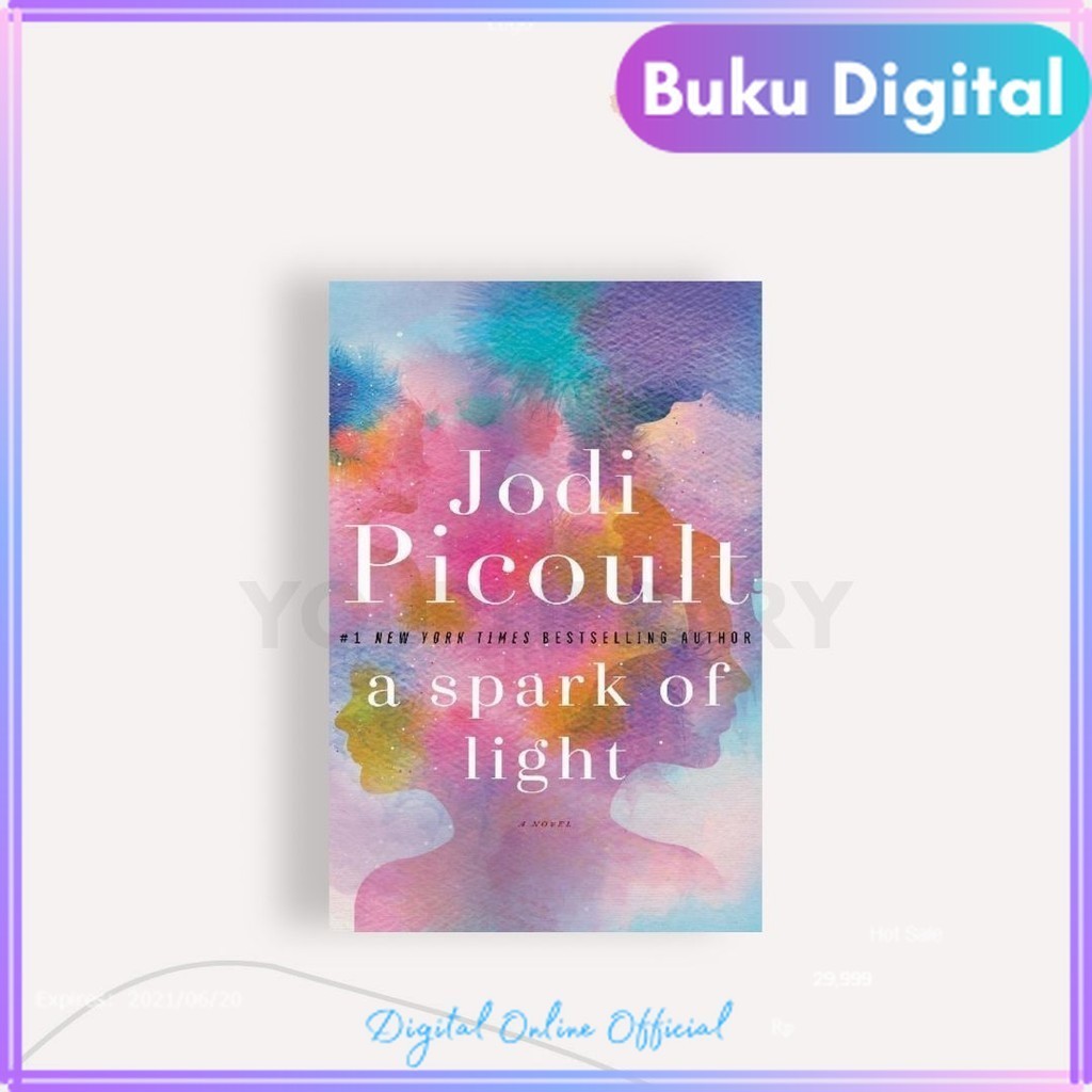 

A Spark of Light | Jodi Picoult