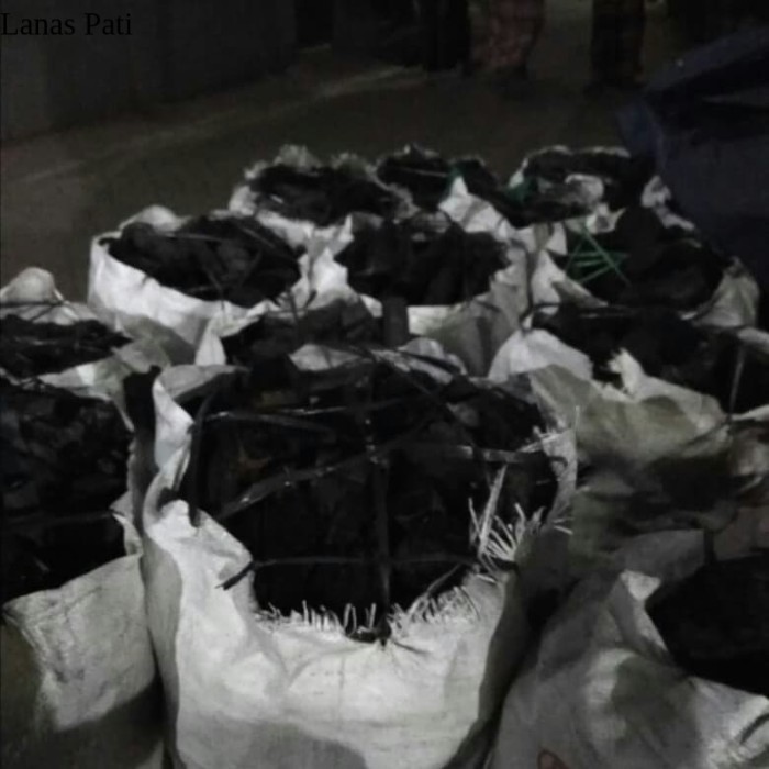 

arang kayu bakar murah terlariss