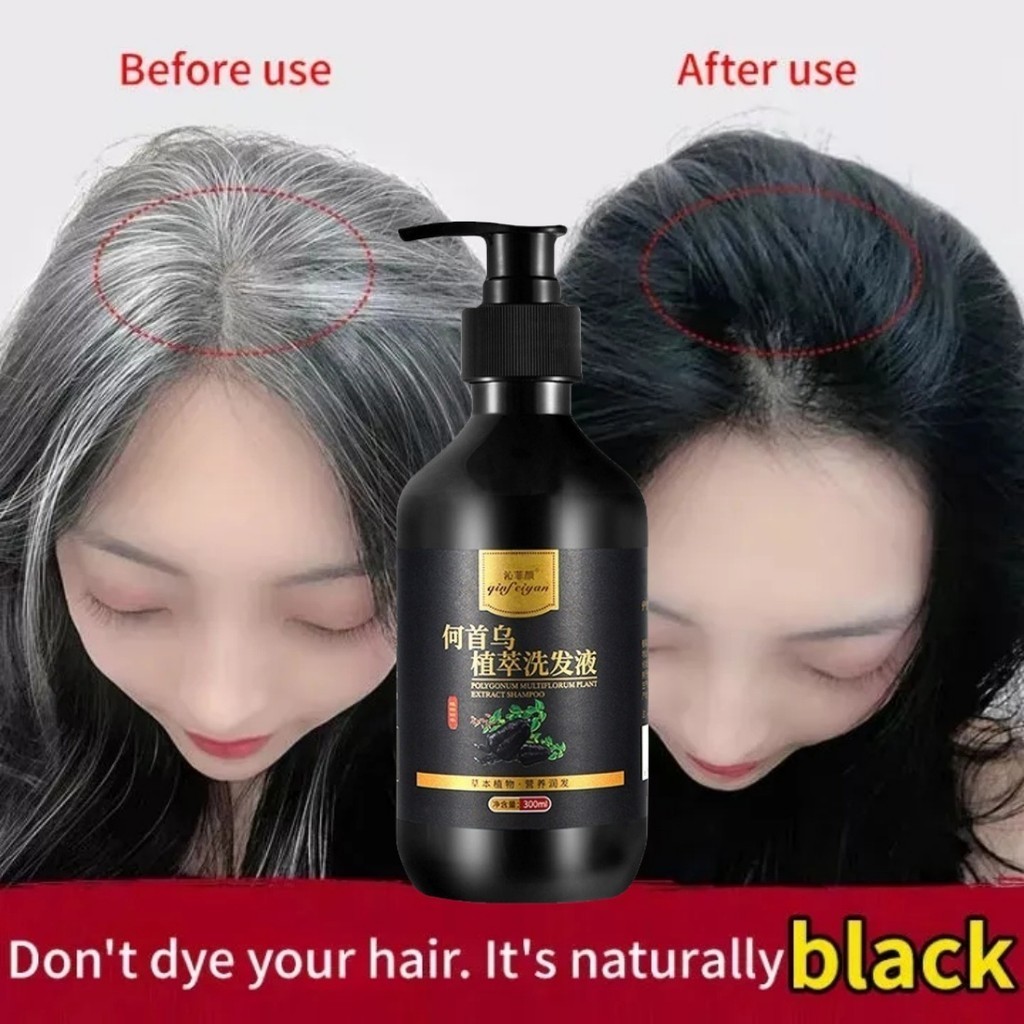 Sampo Penghilang Uban Shampoo Black Herbal Natural Polygonum Multiflorum Hair Blackening perawatan r