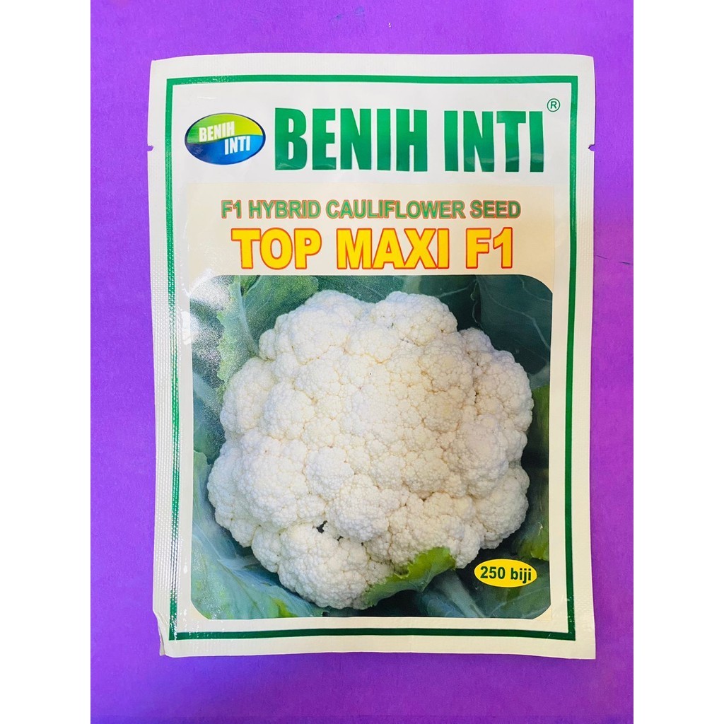 Benih cauliflower F1 TOP MAXI isi 250 biji dari PT DINASTY INTI AGRO