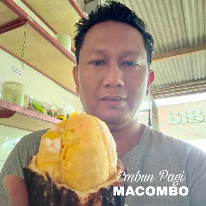 Bibit Buah Macombo Perpaduan Rasa Durian Langka