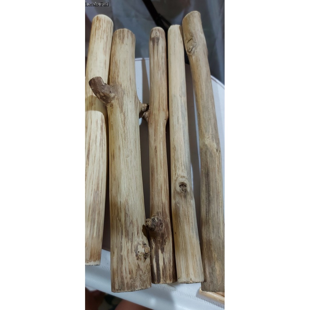 

Ranting Kayu Jati Ranting Kayu Makrame 50 cm murah Murah XD8