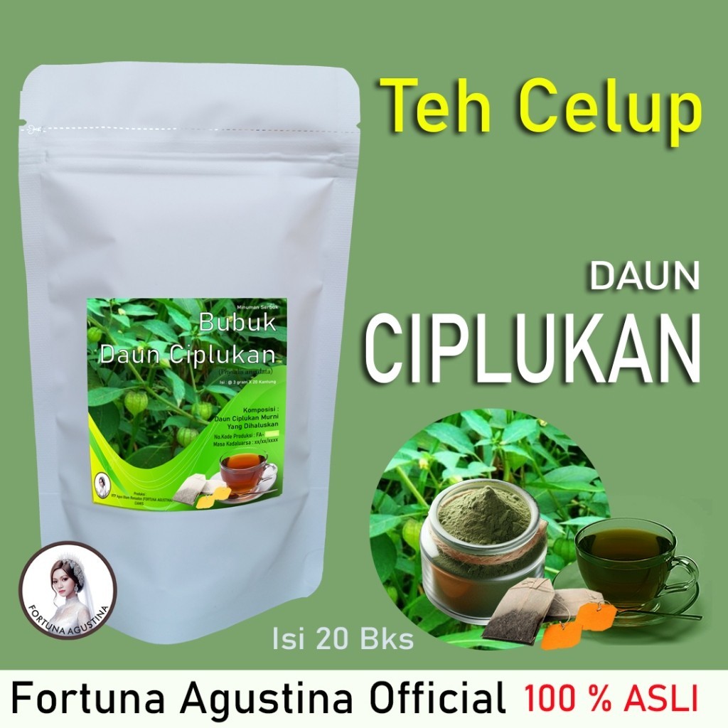 

Teh Celup Daun Ciplukan, Mencegah kanker, penyakit jantung,Stroke