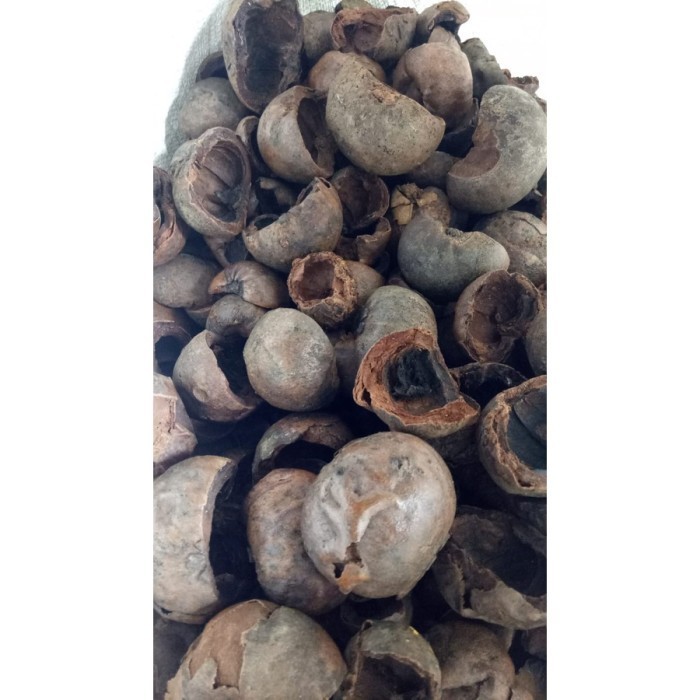 

Kulit Manggis Kering 1 Kg Utuh Bukan Bubuk Tanaman Herbal Nusantara