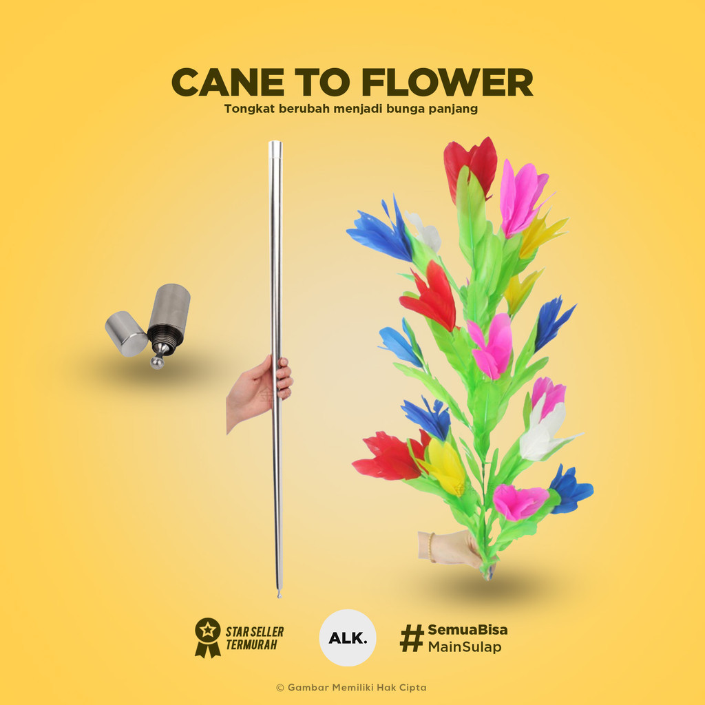 Cane to flower - Flower magic - Sulap tongkat berubah jadi bunga