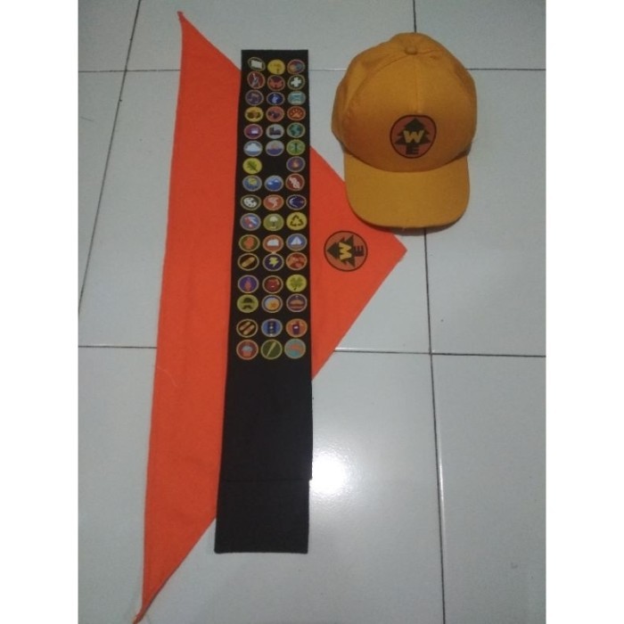 Promo kostum Russel Up Disney Limited