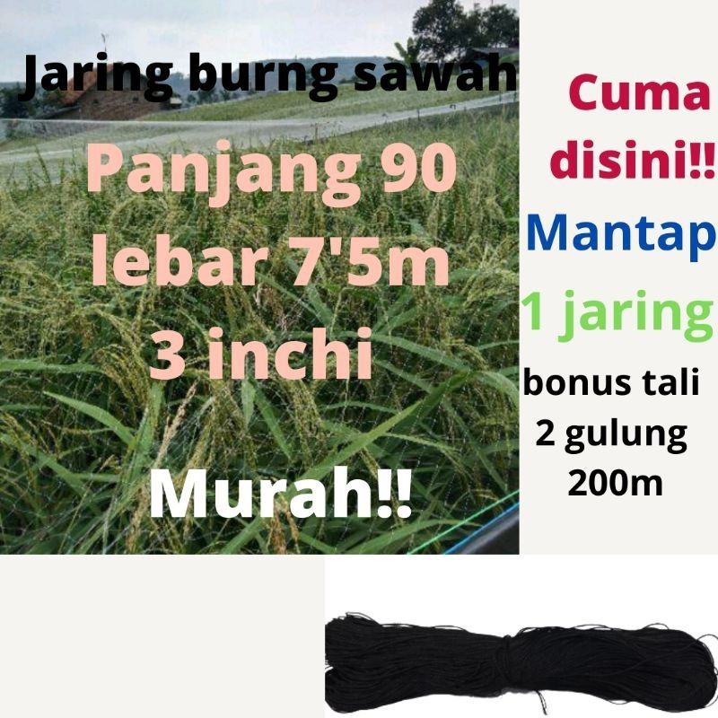 JARING BURUNG BONUS 2 TALI JARING PADI JARING EMPRIT JARING SAWAH 7,5Mx 90 METER JEBAKAN PERANGKAP B