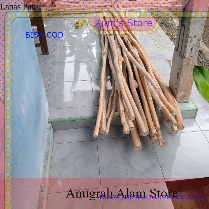 

bisa COD Ranting Kayu Jati Bahan Dekorasi Macrame~200 cm XD5