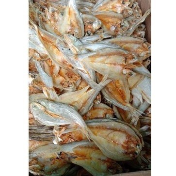 

ikan asin kerupuk atau ikan asin bulu ayam