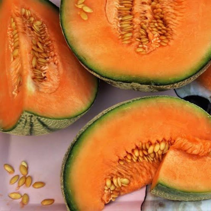 

TERMURAH Melon Orange per buah | Sayur online - BEST Fresh Food