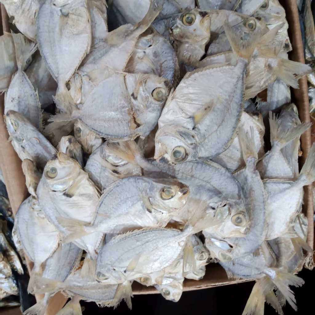 

Ikan Asin Petek / Kopek Super
